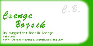 csenge bozsik business card